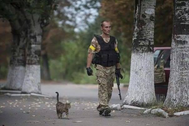 украинские бойцы 