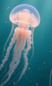 изображение_viber_2025-11-24_00-44-42-494